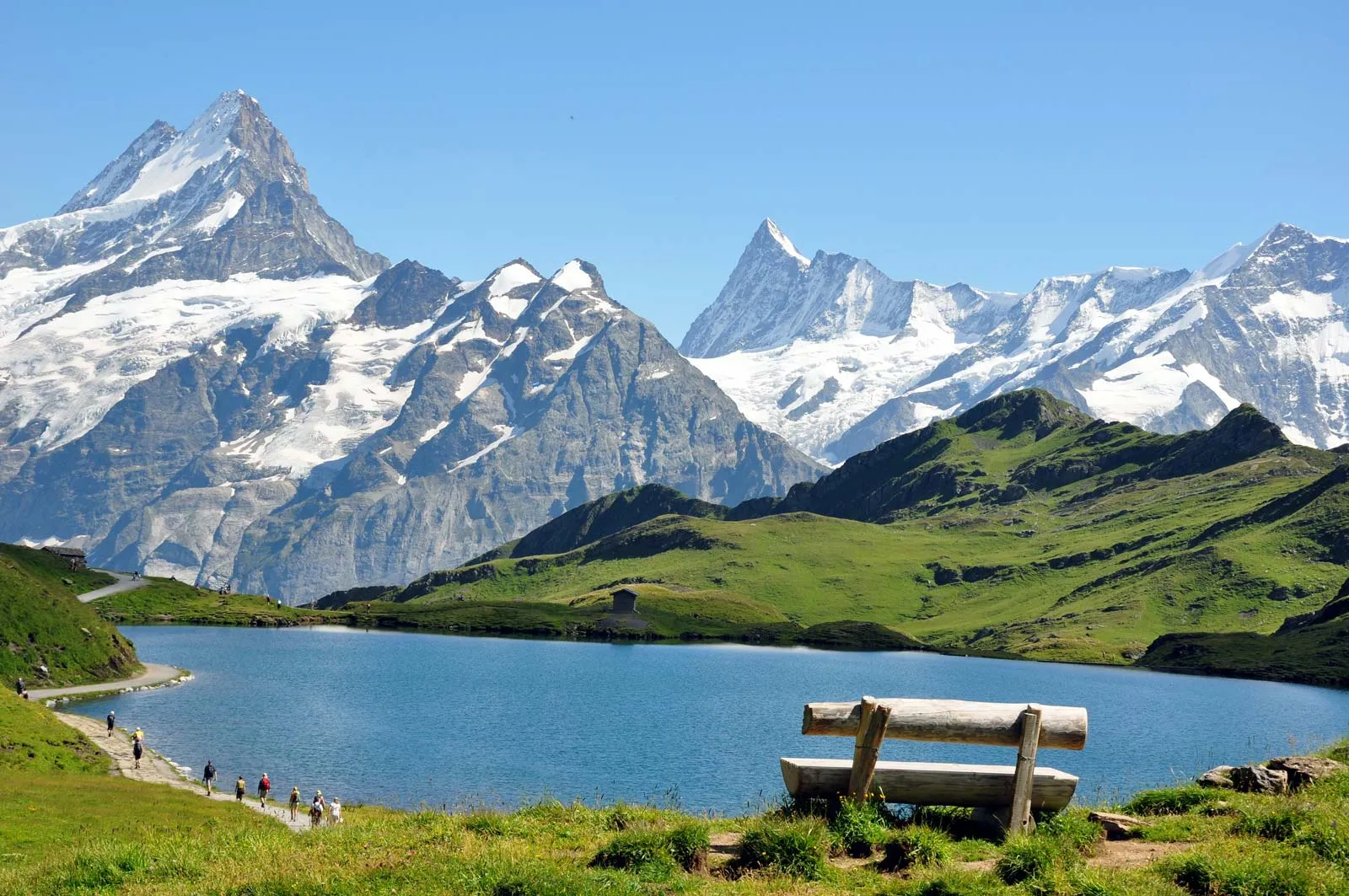 Read, Discover & Celebrate: Queer Voices in Switzerland